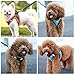 Suredoo Hundegeschirr mit Leine Anti Zug Geschirr Reflektierend Brustgeschirr für Kleine Hunde, Haustiere, Welpen, Katzen (Braun Orange, XS)