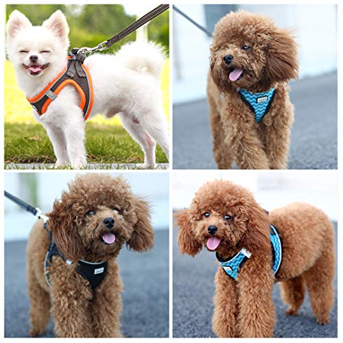 Suredoo Hundegeschirr mit Leine Anti Zug Geschirr Reflektierend Brustgeschirr für Kleine Hunde, Haustiere, Welpen, Katzen (Braun Orange, XS)