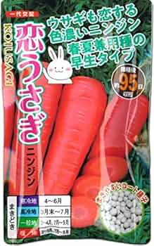 ninnin人参さま専用 Amazon.co.jp: ニンジン 種子 恋うさぎ 250粒 コート種子 人参