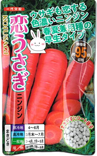 ninnin人参さま専用 ninnin人参さま専用