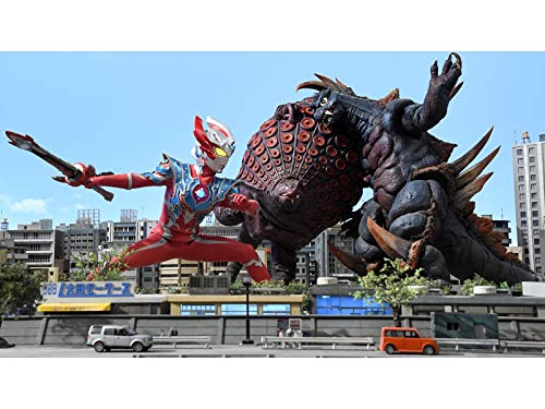 タッコングは謎だ タッコングは謎だ