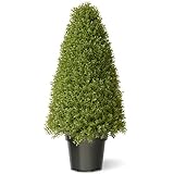 National Tree 36-Inch Boxwood Tree in 16-Inch Diameter Green pot