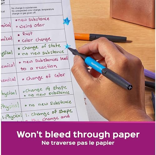 PAPER MATE Papermate 95239 Embalagem com 6 marcadores Flair Nylon Multicolorido, Metálico