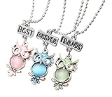 💖Ce Magnifique Ensemble De Colliers De Hibou Est Livré Avec Un Ensemble De 3 Hiboux ... Owl Pink, Hibou Bleu Et