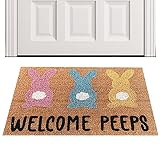 Rianpesn Pascua Felpudo - 23.6 * 15.7 Pulgadas Bienvenido Peeps Bunny Felpudo Conejos Pascua Felpudo,Alfombra Piso Entrada Interior para Entrada Decoración Entrada Exterior