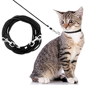 OFPUPPY Long Cat Leash 152026 FT Escape Proof Walking Long Leash for Yard Safe Durable Outdoor Training Leash Braided Nylon Rope for KittensPuppiesRabbitsSmall Animals