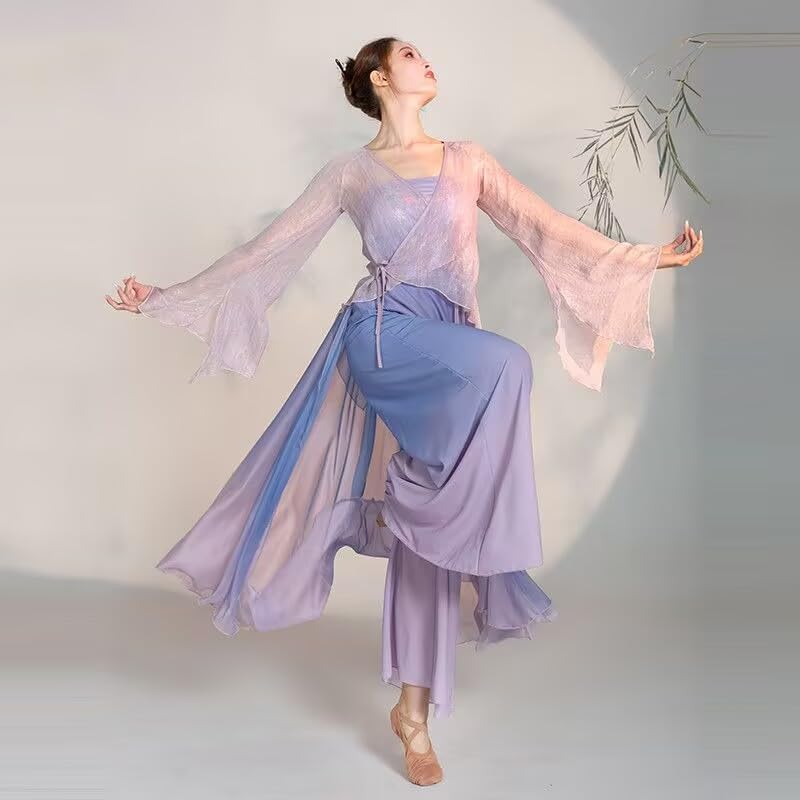 Chinese Style Folk Dance Classical Dancer Performance Costumes Elegant Practice Clothes Chinese Dance Costume