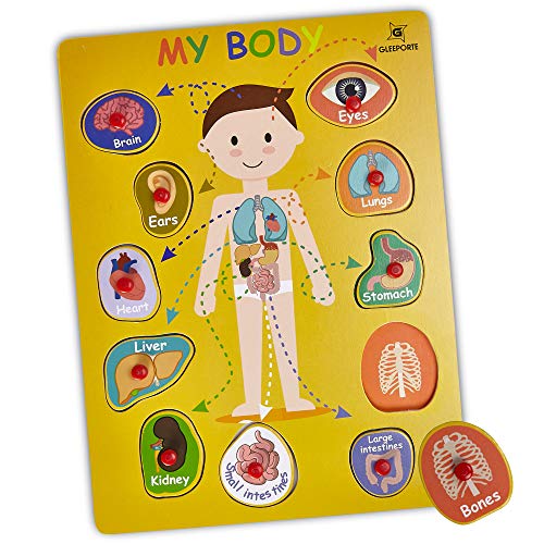 Wooden Peg Puzzle, My Body - Inside - Learning Educational Pegged Puzzle for Toddler & Kids (11 pcs) Gleeporte - Thumbnail 5