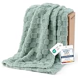 Bedsure Checkered Fleece Throw Blanket,Cute Home Decor,Sage Green,50'×60'