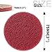 10Pcs 3inch Roll Lock Nylon Sanding Disc Surface Conditioning Disc Quick Change Grinding Wheel for Air Angle Die Grinder Tools,10pcs Red