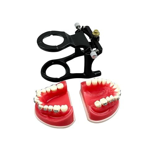 Orthodontic Teaching Model, YOUYA DENTAL Orthodontics Malocclusion Teeth Typodont Demonstration Educational Training Model Red Wax Gum Teeth Practice Model for Teaching Study (Orthodontic Model)