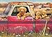 Cobble Hill Farm Jigsaw Puzzle (1000 Piece)
