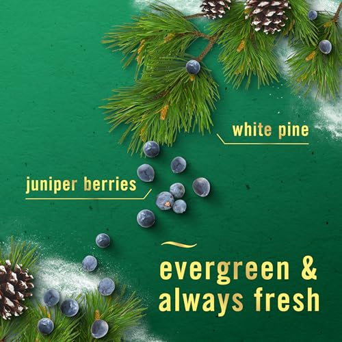 Image of Febreze Plug in Air Freshener, Odor-Fighting Scented Oil Refill, for Home, Bathroom, & Kitchen, Long Lasting, Limited Edition Holiday Winter Pine and Juniper Berry Scent, 0.87oz Refills, 4 Count