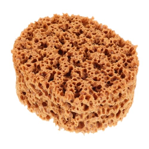 Housoutil Painting Sponges Ergonomic Seaweed Imitation Design for Decorating Texturing and Crafts Easy to Use Comfortable Grip Efficient Paint Application for Artistic