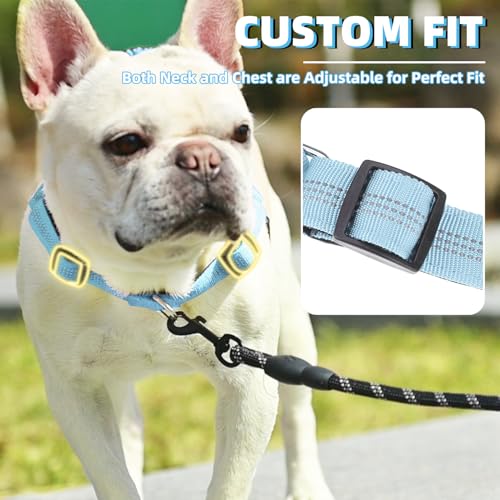 Image of PUPTECK No Pull Dog Harness Small Sized Dog, Adjustable Reflective Pet Vest Harness with Bungee Handle, Escape Proof No Choke Harness for Small Dogs Walking Training, Sky Blue S