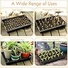 Gardzen 10 Pack Seed Trays, Reusable Plant Grow Trays, Ideal for Seed Starting, Microgreens, Indoor Gardening, and Greenhouse Plant Nurseries - No Drain Holes, 14.5"x9" #3
