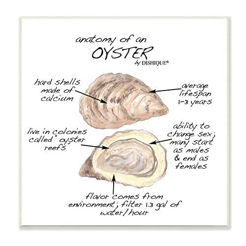 Image of 'Oyster Marine Life Anatomy Facts Educational'| Wall Plaque Art | Stupell Industries | 12 x 12 Inches, Easy to Hang and Sturdy, Made in USA, by Dishique