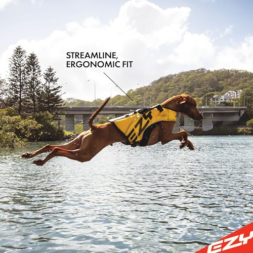 EzyDog Schwimmweste Hund – Premium Schwimmhilfe für kleine, mittlere & große Hunde – DFD X2 Boost Rettungsweste für Pool, Strand & Boot (S, Blau)