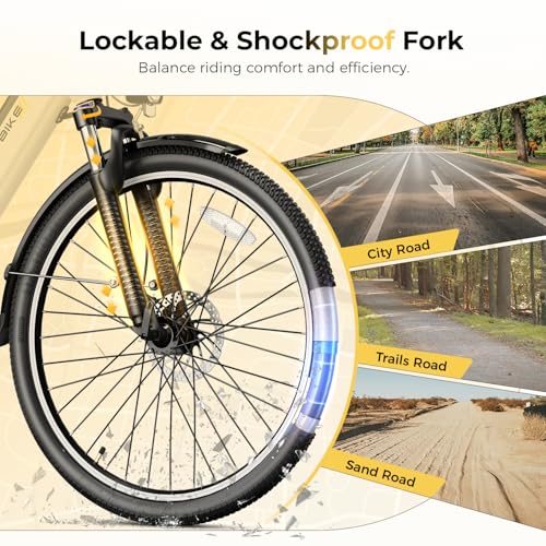 Heybike Cityscape 2.0 Electric Bike for Adults with 1200W