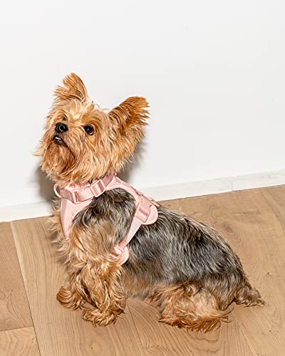 Wild One Harness 2.0 - Small - Pink - Thumbnail 4