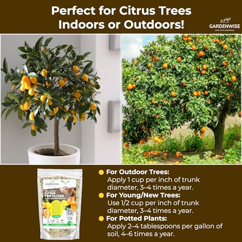Image of GARDENWISE Professional Citrus Fertilizer + Vital Micronutrients; Perfect Balanced NPK for All Citrus; for Indoor and Outdoor Plants; Orange, Lime, Avocado and Lemon Tree Fertilizer (2 QUARTS)