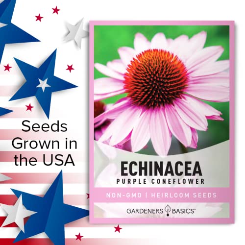 Purple Coneflower Seeds Echinacea Seeds For Planting - Non-Gmo, Open Pollinated Beautiful Echinacea Plant Seeds Great For Herbal Tea Gardens And Medicinal Herbs By Gardeners Basics #TOP4