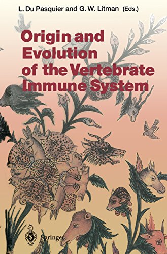 Origin and Evolution of the Vertebrate Immune System (Current Topics in Microbiology and Immunology Book 248)