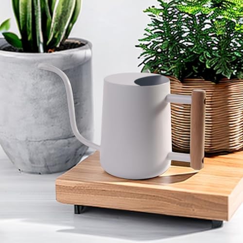 IMEEA 1L Gießkanne Zimmerpflanzen Gießkanne Klein Indoor Gießkannen Edelstahl Moderner Deko Giesskanne mit Langem Auslauf für Pflanze Blumen Bonsai Outdoor Garten (Weiß