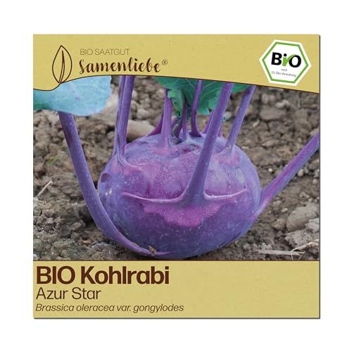 Samenliebe BIO Kohlrabi Samen | Azur Star - violett - samenfestes BIO Saatgut