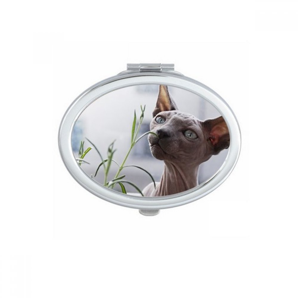 Miroir de maquillage compact pour corriger son teint facilement partout