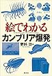 セール中のKindle本1：絵でわかるカンブリア爆発 (ＫＳ絵でわかるシリーズ)