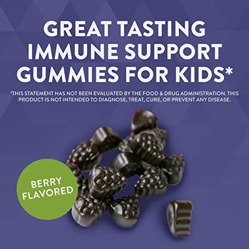 Nature's Way Sambucus Relief Kids Elderberry Gummies #TOP6