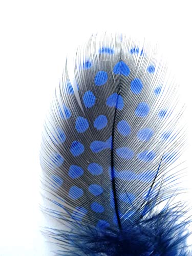 100Pcs 3"-6" Royal Blue Spotted Feathers Guinea Pheasant Feather For Crafts Dream Catcher Jewelry Decoration, Colored Turkey Chicken Plume Feathers #TOP2
