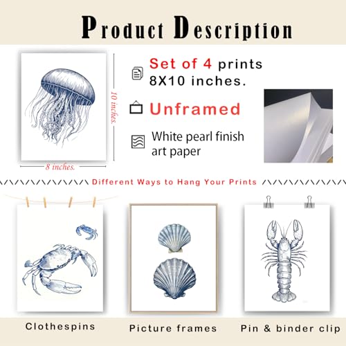 XUNLURY Navy Blue Coastal Beach Wall Art Prints Unframed Set of 4, Minimalist Nautical Ocean Seashell Jellyfish Crab Lobster Artwork Wall Pictures for Beach House Cabin Home Bedroom, 8x10 — view 2