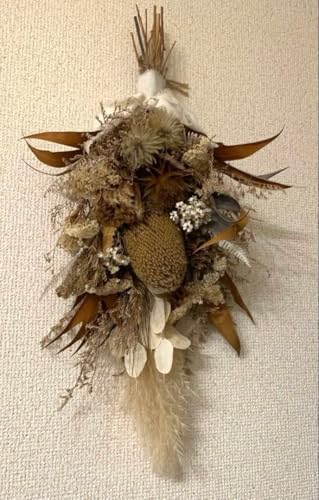 �h���C�t�����[�X���b�O�@��50cm F <0208z���[�X�E�X���b�O>