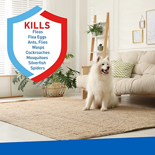 Adams Flea & Tick Indoor Fogger | 2 X 3 Oz Cans | Kills Fleas, Flea Eggs, Ants, Flies, Cockroaches, Mosquitoes, Spiders, Silverfish| Each Fogger Treats Up To 375 Square Feet | 6 Oz Total #TOP1
