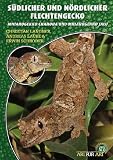  Südlicher und Nördlicher Flechtengecko: Mniarogekko chahoua und Mniarogekko jalu (Art für Art: Terraristik)
