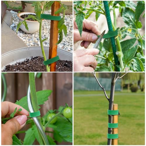 JIUZI Green Plant Tape - Reusable Garden Tape for Outdoor Plants, Adjustable Plant Supports for Climbing Plants, Strong-Grip Plant Ties for Healthy Growth (16.4 ft x 0.6 inch, Green) - Thumbnail 4