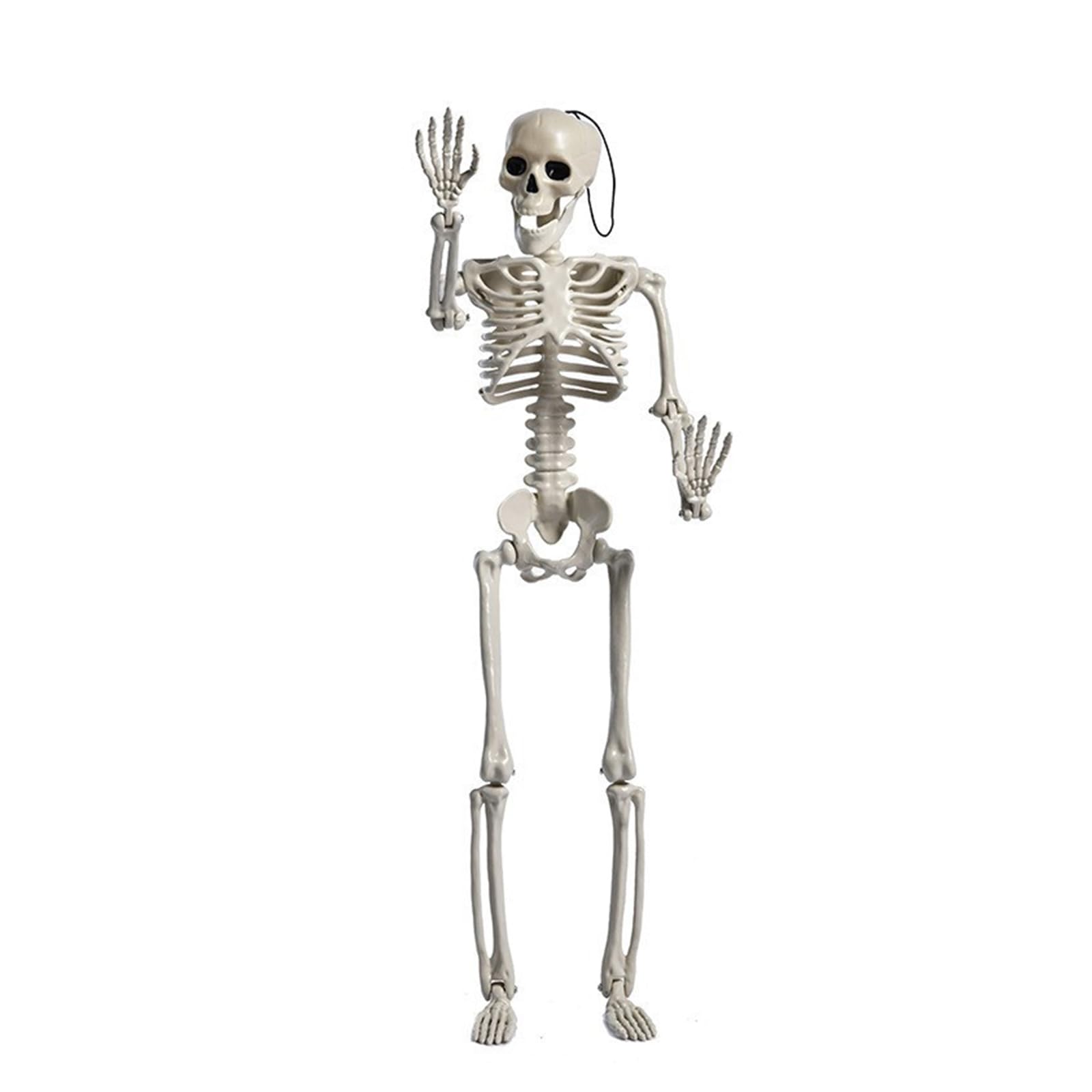 HZGFNBZ Skeleton Halloween Decorations Realistic Full Body Posable Joints Creepys for Props Decorations Party Supplies