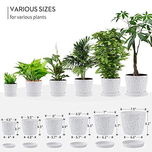 Faxinny Set Of 6 Plastic Planters With Saucers,7.5/7/6.5/6/5.5/4.5 Inch Plant Pots With Drainage Hole And Tray For All Indoor Plants, Flowers, Snake Plant And Succulents,White #TOP1