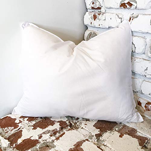 16x20 Throw Pillow Form Insert PC