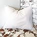 16x20 Throw Pillow Form Insert PC