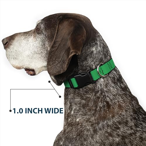 Collier pour chien anti-irritation Buckle-Down sangle large 3.8 cm