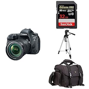 Canon EOS 6D Mark II Digital SLR Camera with EF 24-105mm IS STM Lens + Accessory Bundle