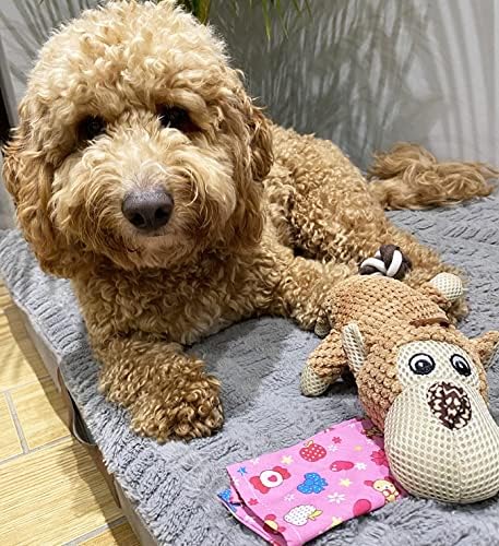 TINGERIA® Plush Dog Toy with Bandana for small & medium Dogs, squeaky Dog Chew Toys for Boredom, tough strong Puppy Teething Toys