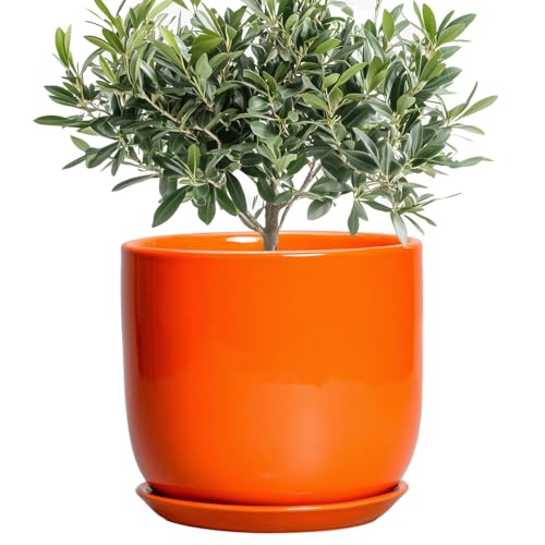 SUNPOTFOR Ceramic Pot for Plants - 8 Inch Plant Pot with Drainage Hole and Saucer, Cylinder Modern Round Planter for Indoor Outdoor Plants, Housewarming Gifts, Office Home Garden Decor, Orange