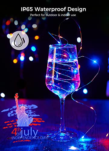 Image of Brightown 4th of July Decor Patriotic Fairy Lights, 7 FT. Silver Wire Red White Blue String Lights, Firefly Starry Moon Lights, Micro LED Mini Fairy Lights for Jars DIY Picture Wedding