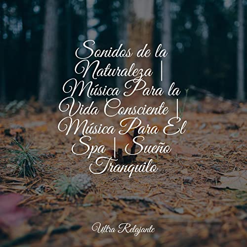  Drones de Ensueño