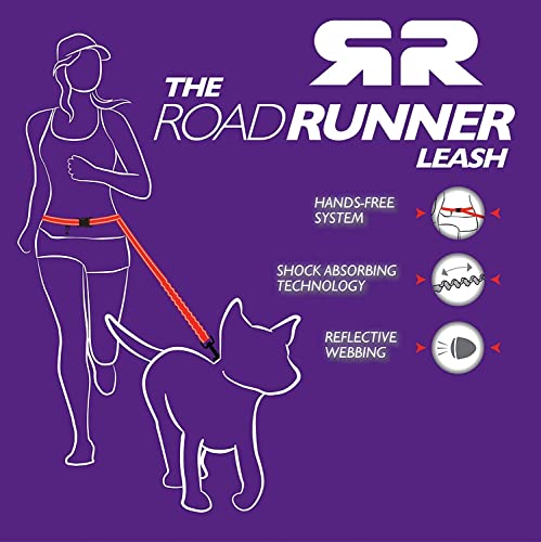 EzyDog Road Runner Hands Free Dog Leash – Waist Leash for Dog Walking, Jogging and Running with Zero Shock Bungee, Reflective Stitching, and Adjustable Waist (Orange) by EzyDog - Image 6