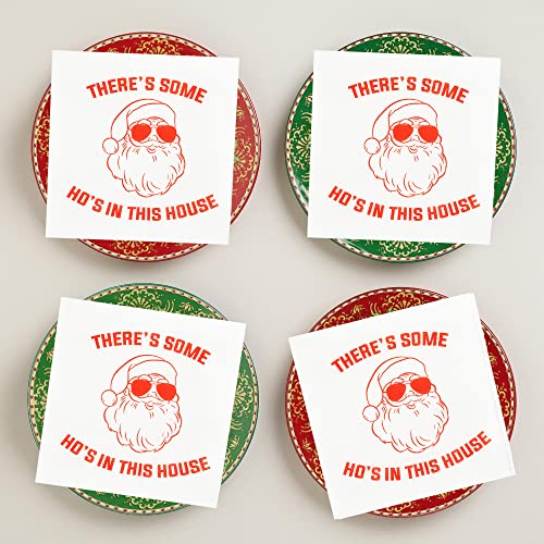 There’s Some Hos In This House Napkins, Funny Christmas Party Decorations, Christmas Xmas Holiday Party Decorations, Christmas Friendsmas Party, Christmas Birthday Party Supplies(5 X 5 In, 30-Pack) #TOP4
